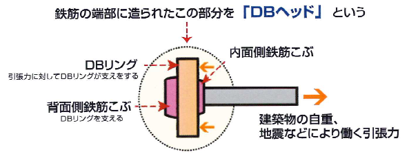 DBヘッド